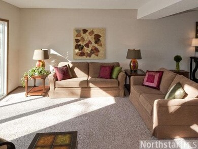 4710 Fairhills Rd W, Minnetonka, MN 55345 - photo 6