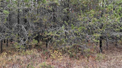 14506 Moonlight Ln, Newport, WA 99156 - photo 6