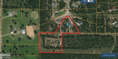 154 Treeline Ct, Lipan, TX 76462 - photo 5