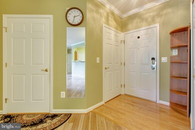 5915 Abrianna Way unit UTB, Elkridge, MD 21075 - photo 3