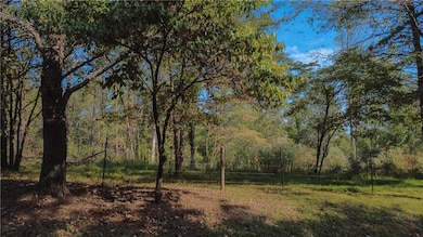 View of wooded area