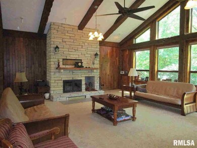 27023 Ebenezer Rd, Geneseo, IL 61254 - photo 6