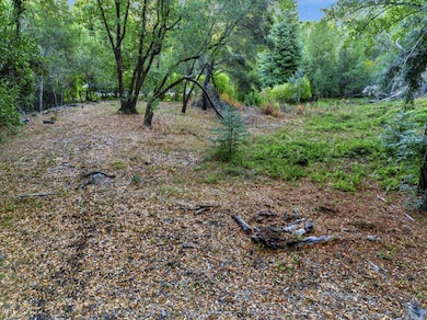 12 Montecito Rd, Woodside, CA 94062 - photo 5