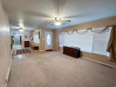Foyer with ceiling fan, carpet, and a textured ceiling