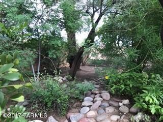 beautiful native vegetation in yard