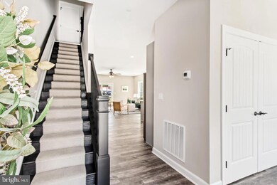 1201 Broad Leaf Ct, Trappe, MD 21673 - photo 3