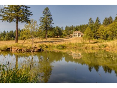 Pond