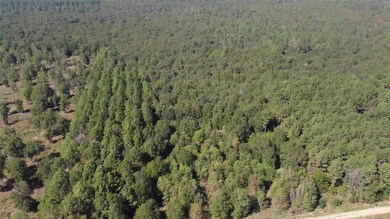 TBD Farm To Market Road 2457, Livingston, TX 77351 - photo 2