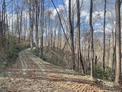 Lot 4 Copperhead Cove Rd, Sylva, NC 28779 - photo 5