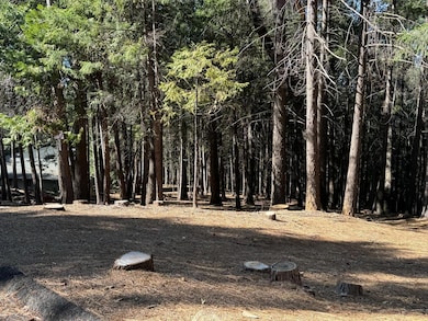 5771 Lupin Ln, Pollock Pines, CA 95726 - photo 2