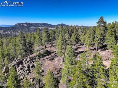 12329 Powhatan Trail, Conifer Mountain & Meadows, CO 80433 - photo 2