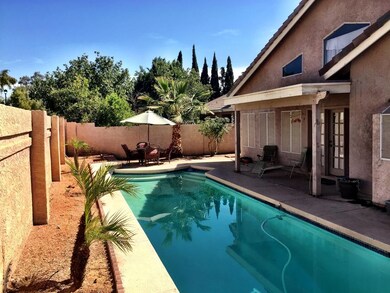 backyard view 4