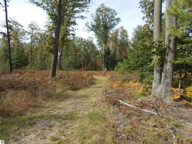 6004 M 55, Whittemore, MI 48770 - photo 5