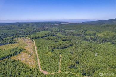 0 Walberg Rd unit NWM2397686, Chinook, WA 98614 - photo 7