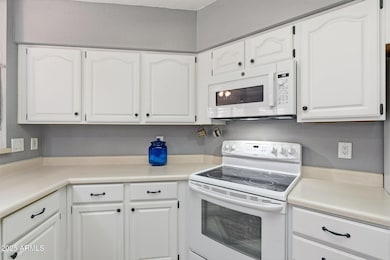 6546 E Sugarloaf St, Mesa, AZ 85215 - photo 7