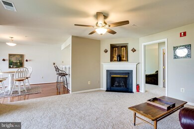 9131 Gracious End Ct unit 203, Columbia, MD 21046 - photo 4