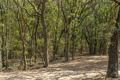 Tract 1 County Road 4460, Decatur, TX 76234 - photo 4