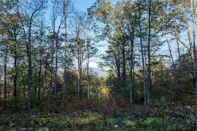 263 High Ridge Rd, Cavendish, VT 05142 - photo 3