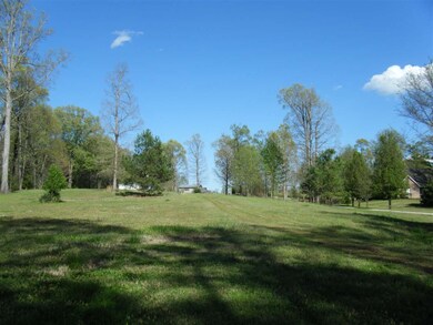 1835 Braden Rd, Mason, TN 38049 - photo 3