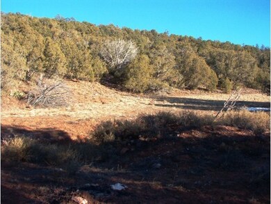 213 S Arizona Rd, Ash Fork, AZ 86320 - photo 7