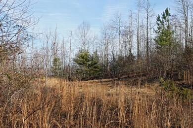 Eastern Boundary