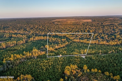 XXX Open Creek Rd unit South Lot, Chipley, FL 32425 - photo 5