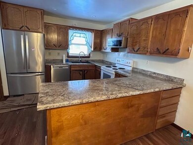 Kitchen featuring dark wood-type flooring, stainle