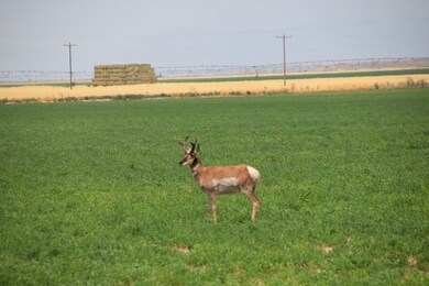 0 Tbd Black Rock Rd unit LotWP001, Kanosh, UT 95603 - photo 3