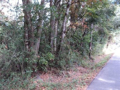 0 Pine Street Extension None unit 1011743, Pearl River, LA 70452 - photo 3