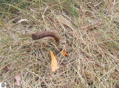 8215 Curtis Rd, Hale, MI 48739 - photo 7