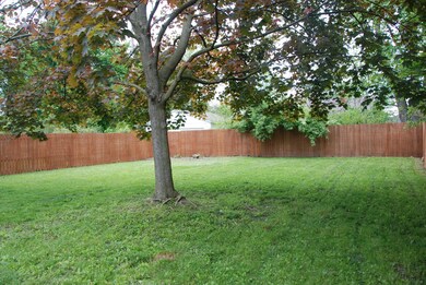 Spacious Backyard
