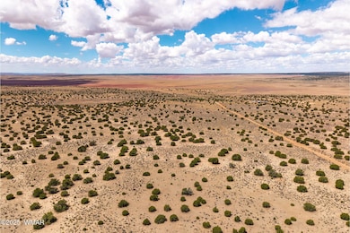 0 Red Sky Ranch Lot 384 unit 257799, St. Johns, AZ 85936 - photo 7