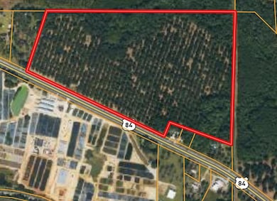 3109 U S 84, Cairo, GA 39828 - photo 2