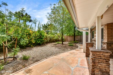 Backyard 2