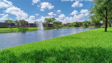 View from the back yard