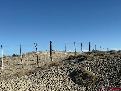 Parcel 10 Hidden Mesa Rd, Austin, CO 81410 - photo 5
