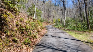Lot 1 Highlands Pass, Franklin, NC 28734 - photo 4