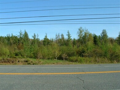 View of Lot & Road Frontage