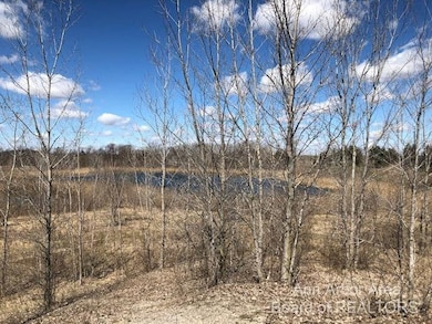 0 Arkona Rd unit 23036912, Milan, MI 48160 - photo 3