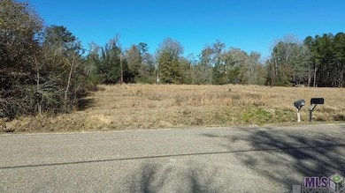 28519 Horseshoe Rd, Independence, LA 70443 - photo 4