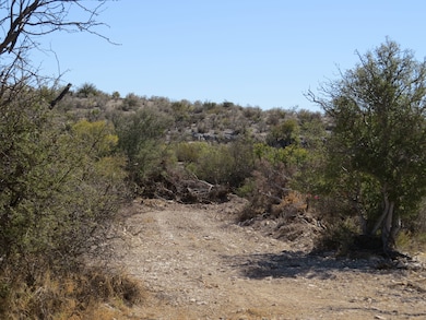 0 Shafter Crossing Rd, Dryden, TX 78851 - photo 5