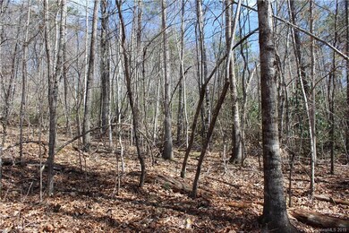 00 Burleson Gap Rd, Burnsville, NC 28714 - photo 2