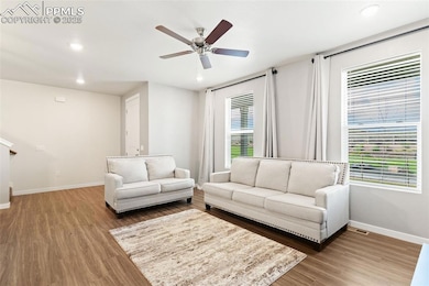 8246 Nutterbutter Point, Colorado Springs, CO 80925 - photo 4