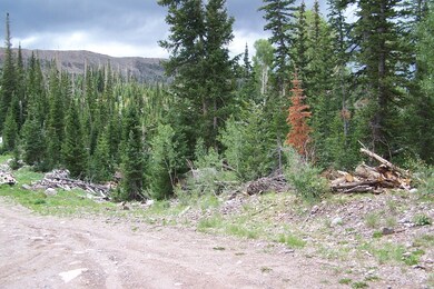 6 S Ranger Ct unit CBMHS u-B b-C lot 2, Brian Head, UT 84719 - photo 2