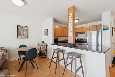 30 E Huron St unit 3901, Chicago, IL 60611 - photo 5