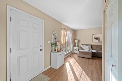 531 Alyssa St, Plano, IL 60545 - photo 4