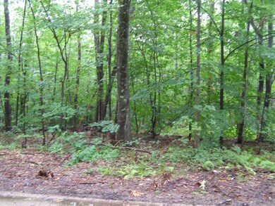 0 W Princeton Rd, Westminster, MA 01473 - photo 2