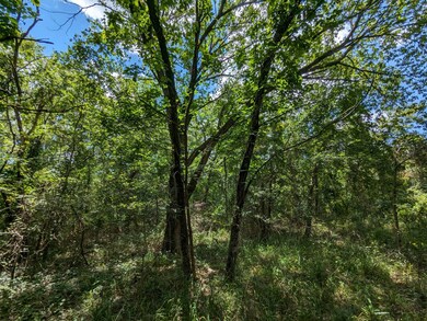 Owner Financing Available Land