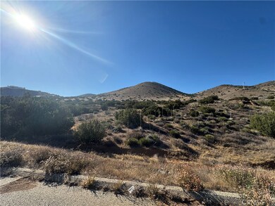 0 Vic Valleysage Rd Tuthil unit SR25171584, Agua Dulce, CA 91350 - photo 3