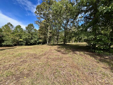 000 Rainbow Valley Trail, Mammoth Spring, AR 72554 - photo 4